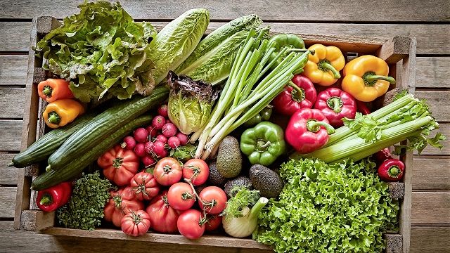 Plant-based diet converts breast cancer in mice from lethal to treatable form