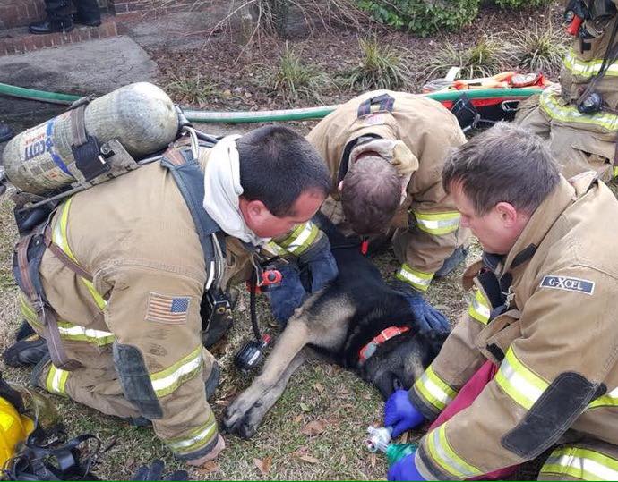 [PHOTOS] Alexander City Fire Department rescues dog from burning house