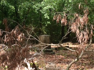 Citizens organize Comer Cemetery clean-up
