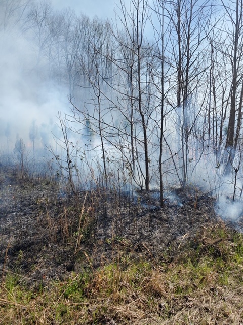 12 counties in Alabama under burn ban