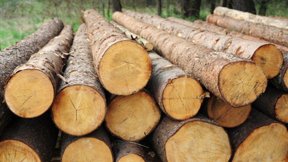 Governor Ivey awards $10 million in CARES Act funds for the Alabama Forestry Commission Timber Owners Program