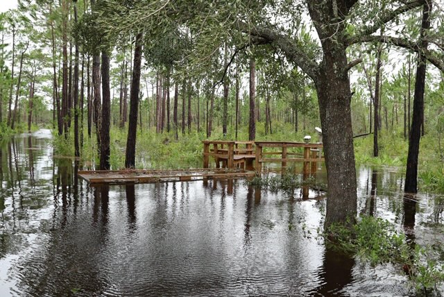 Sally socks and soaks Alabama Gulf Coast, saturating other parts of the state