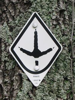 Sylacauga Named “Alabama Pinhoti Trail Town”