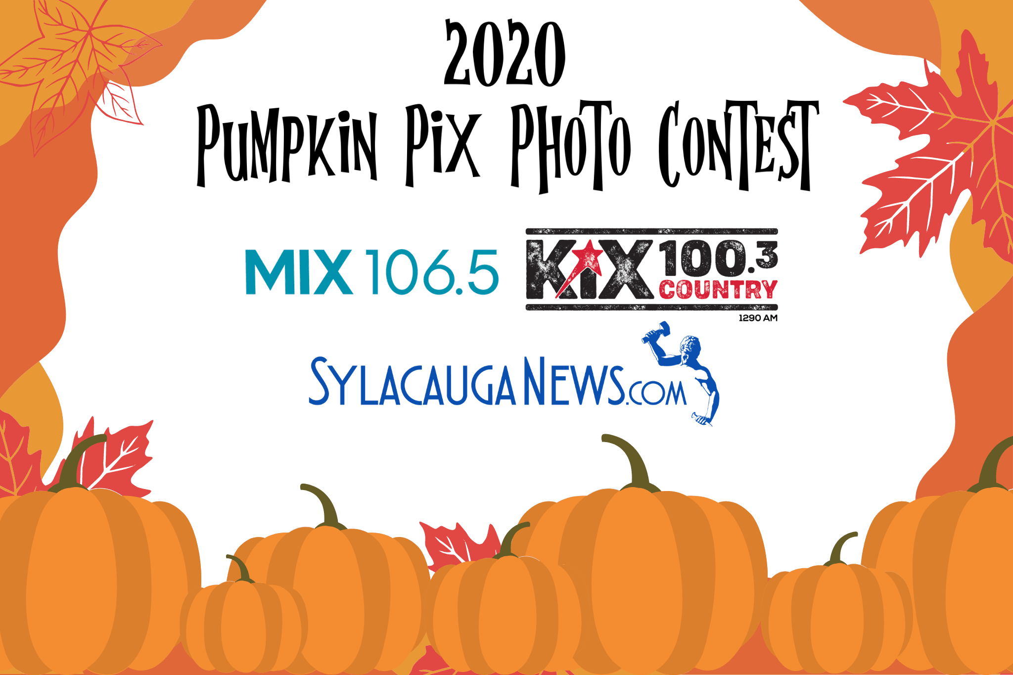 2020 Pumpkin Pix Photo Contest