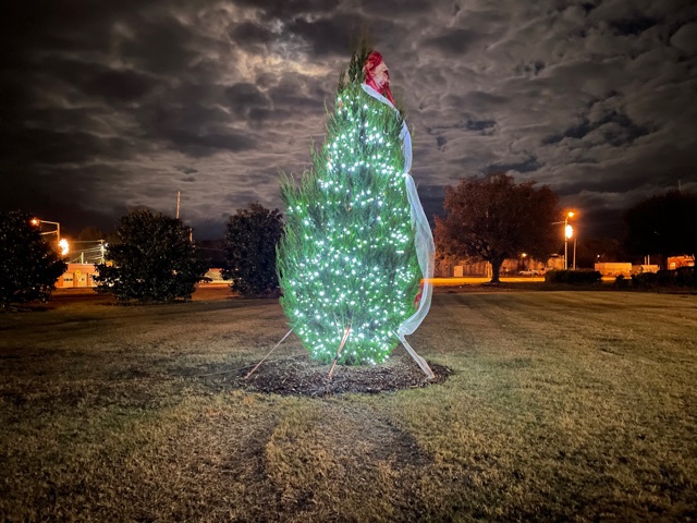 [WATCH] Light the Night 2020