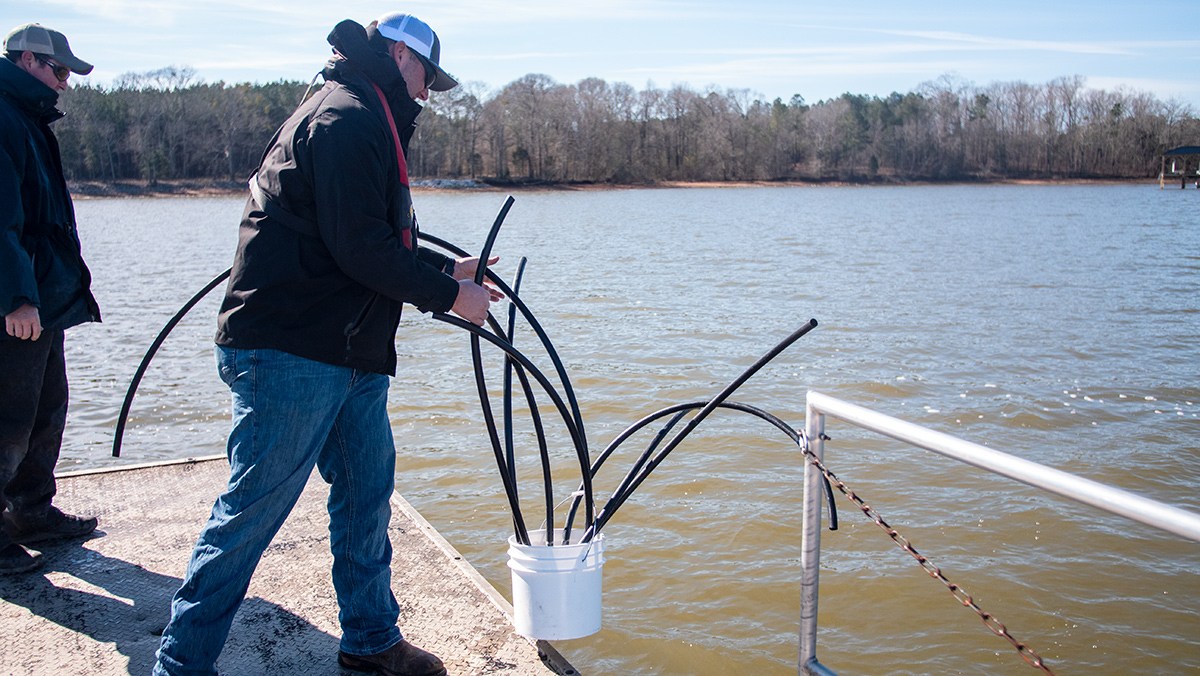 New fish habitats deployed on Alabama lake