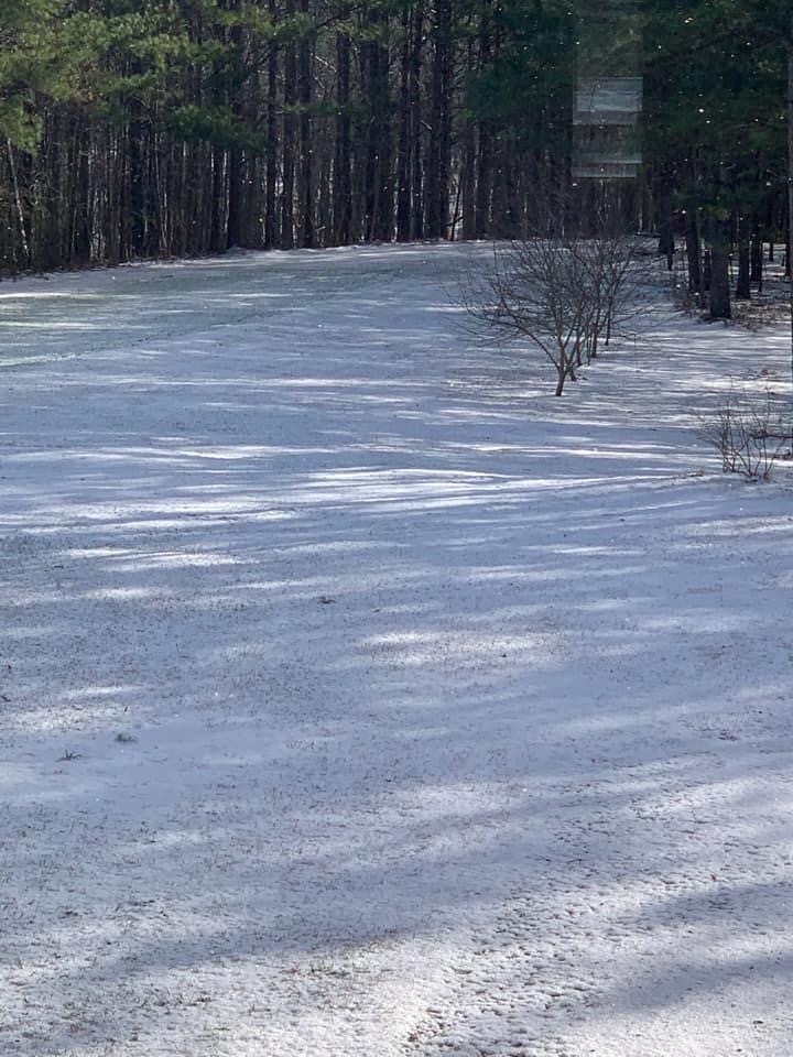 PHOTOS: Snow day 2021