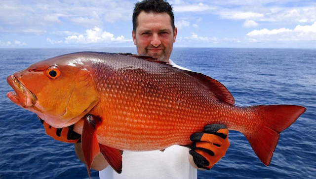 Red snapper fishing season in Alabama opens May 28