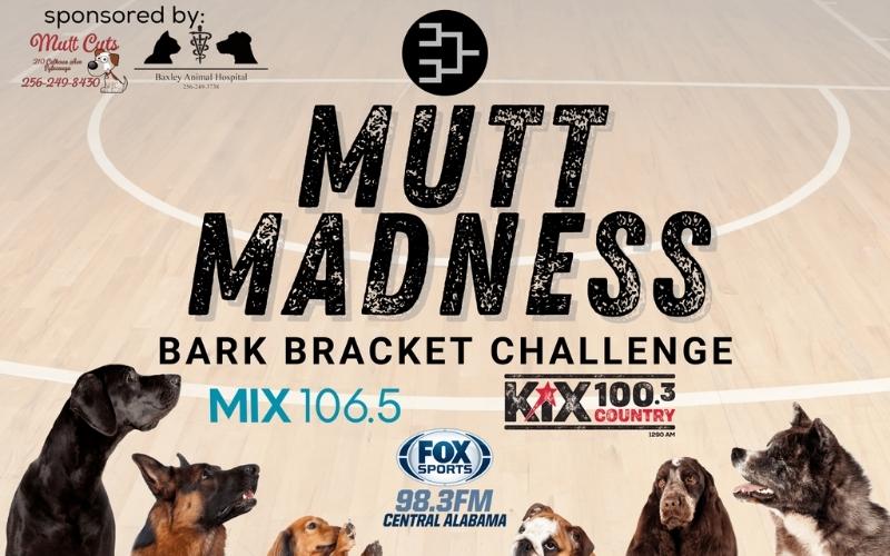 Last day to vote on final four in RadioAlabama’s Mutt Madness Bark Bracket Challenge