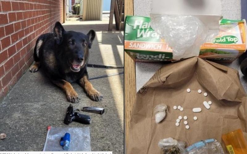 Sylacauga Police’s K-9 “Drago” visits Pinecrest after helping with two traffic stops