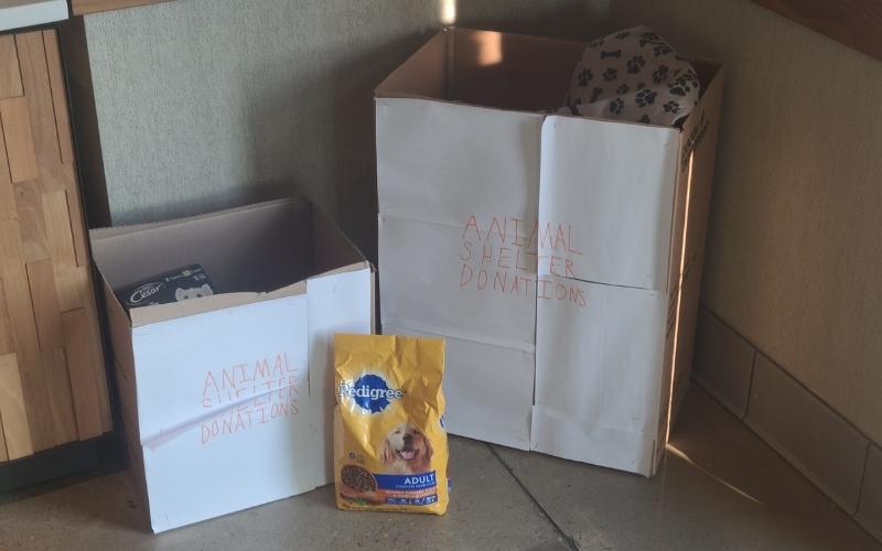 Starbucks in Sylacauga accepting “Dog-gone” donations now until Friday