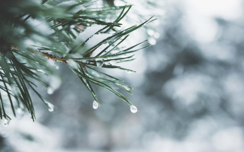 Sylacauga and surrounding area prepares for extremely cold temperatures over Christmas weekend