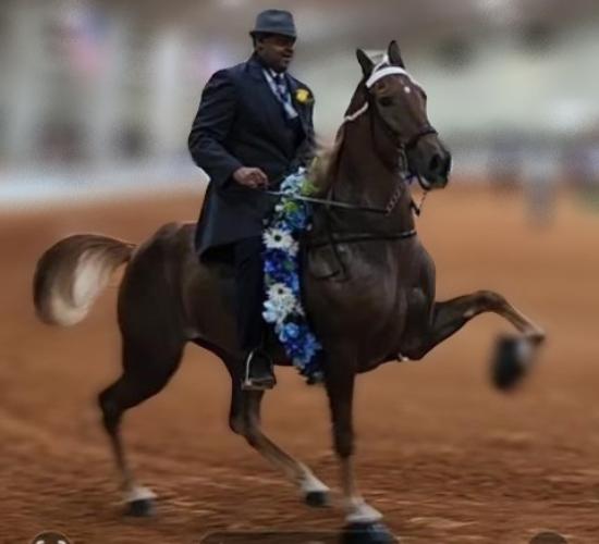 Quick step into the record books for Cha Cha Time and Corey Reynolds