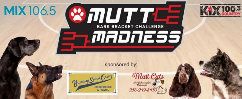 Vote for your top dog in the 2023 Mutt Madness Bark Bracket Challenge
