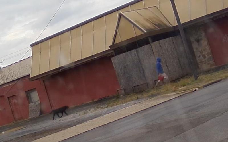 [VIDEO] Sylacauga Police Department asking for public’s help in identifying arson suspect