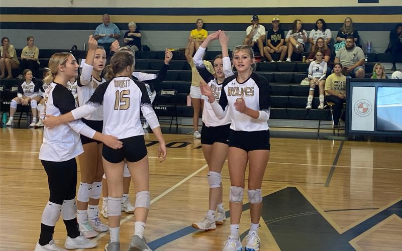 Fayetteville Lady Wolves volleyball soaring to new heights