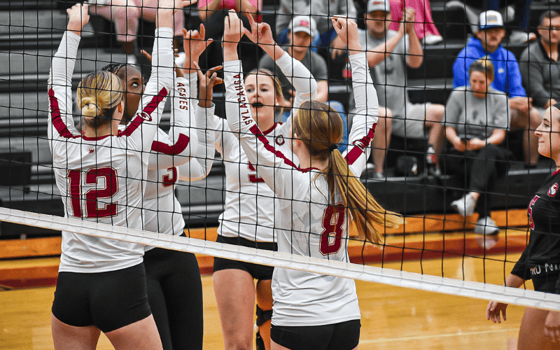 Volleyball falls short to Briarwood in area finals