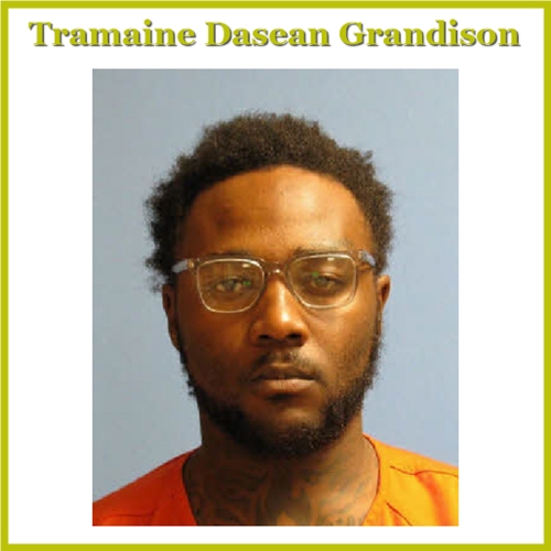 Montgomery man re-arrested in Coosa County on Murder and Theft charges