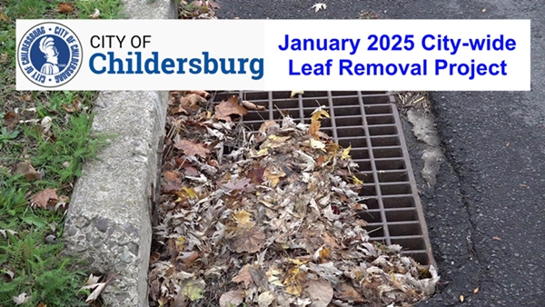 Citywide leaf removal project scheduled to start in Childersburg