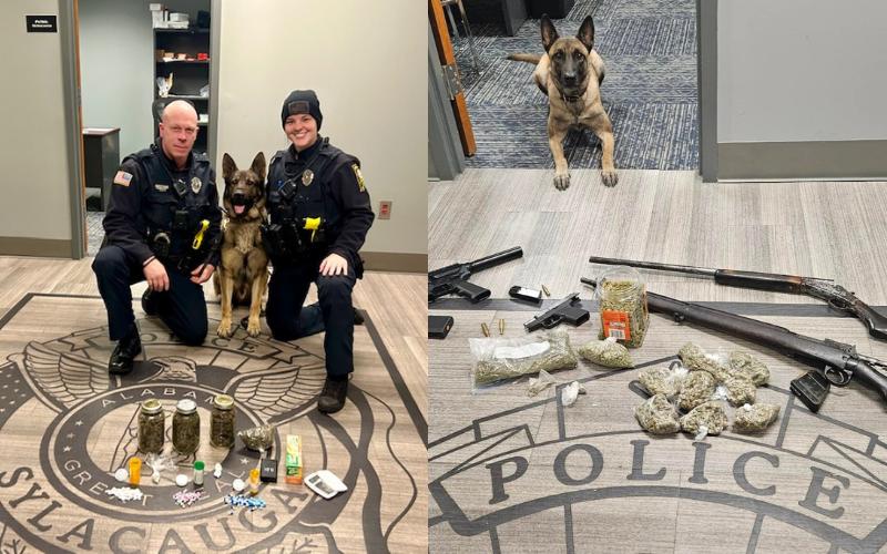 Sylacauga Police Department’s K9 units assist in two major drug busts