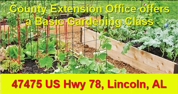 It’s time to start your home garden or take the one you already have to the next level