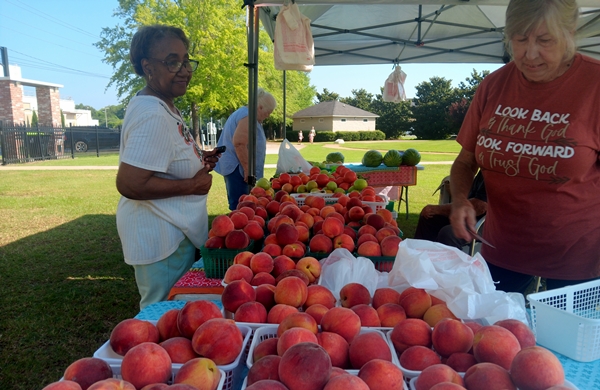 This Week Only: The Sylacauga Farmers Market will be held on Thursday, July 3