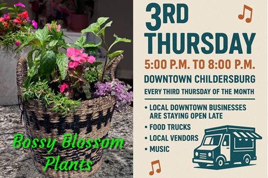 Celebrate with downtown Childersburg businesses with the 3rd Thursday Block Party tonight