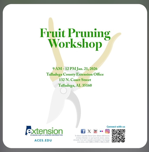 It’s the time of year for fruit tree pruning – Are you properly prepared?