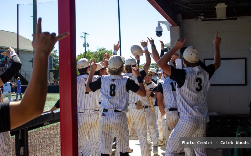 dugout celebration
