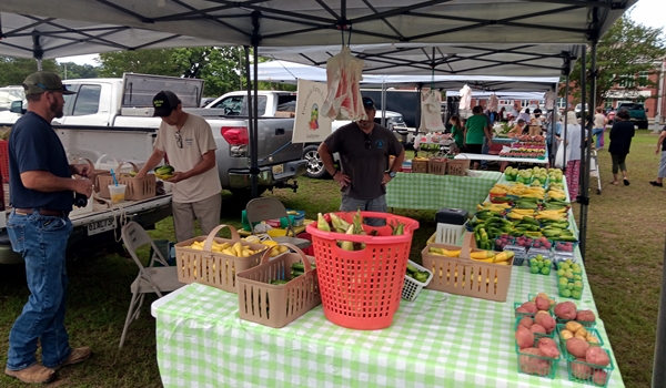 Sylacauga Farmers Market expands with more vendors, produce and homemade goods