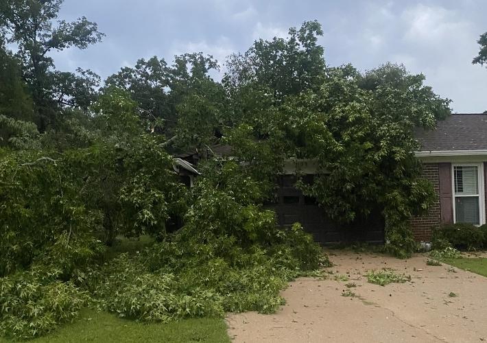 Severe thunderstorm downs trees, causes widespread damage across Sylacauga area