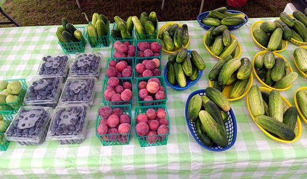 The Sylacauga Farmers Market 2026 will extend well into September